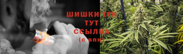индика Магас