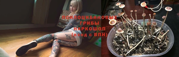 гидра Магадан