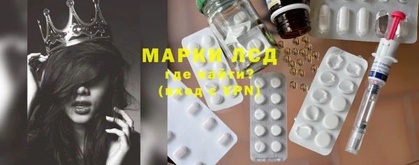 индика Магас