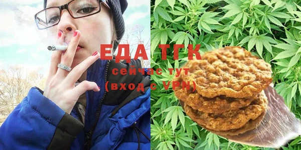 индика Магас