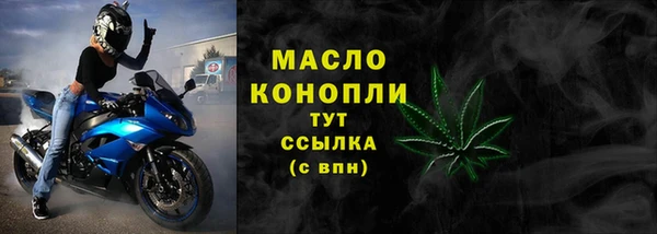 индика Магас