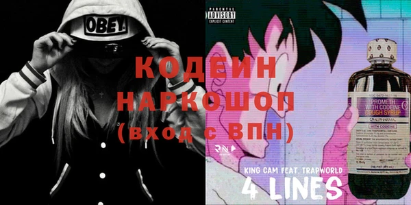индика Магас
