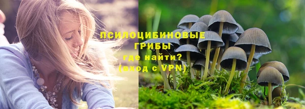 гидра Магадан