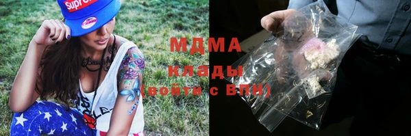 индика Магас