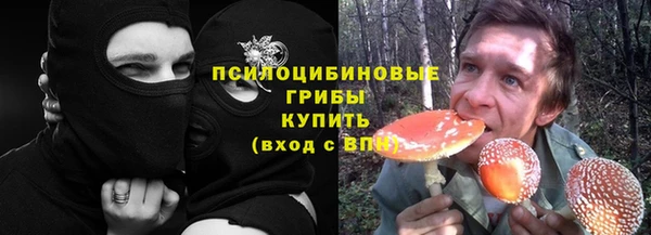 индика Магас